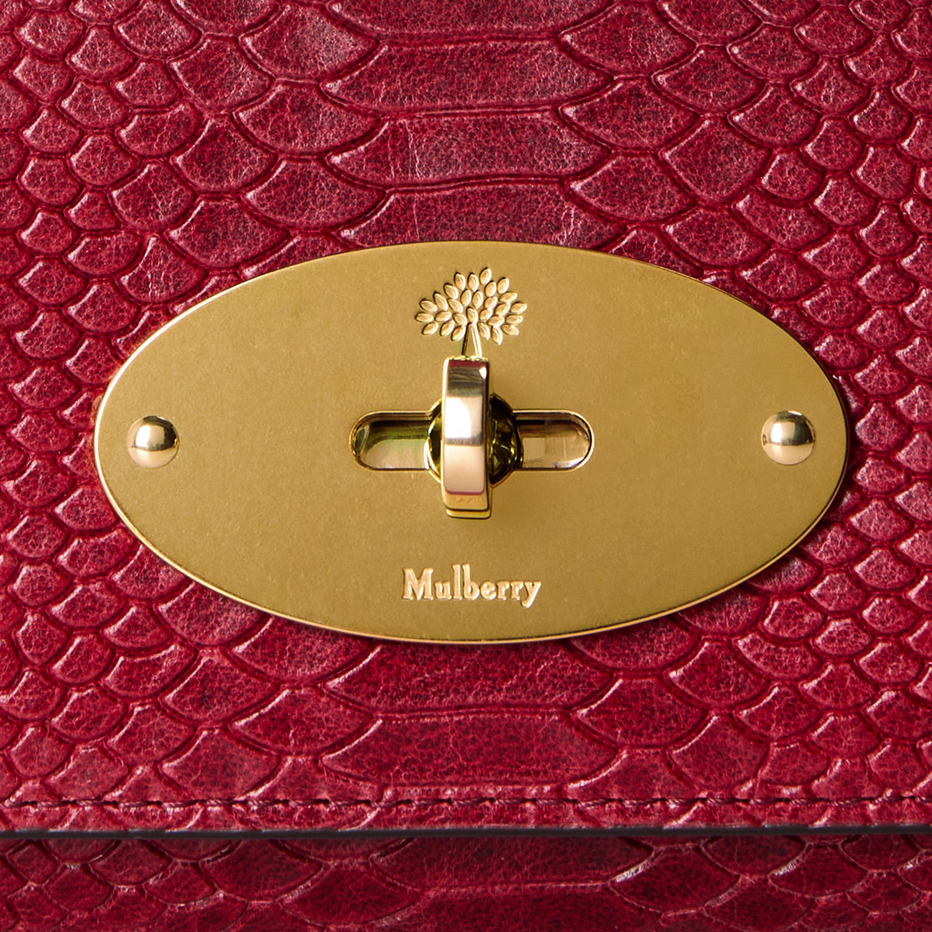 Mulberry Women's Lily Leather Wallet on Chain