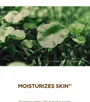 SKIN1004 Madagascar Centella Probio-Cica Glow Sun Ampoule 2pcs Bundle Set
