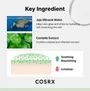 COSRX Centella Water Alcohol-Free Toner 2pcs Bundle Set