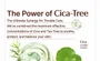 Tage Cica-Tree Cooling Sun Stick 2pcs Bundle Set