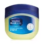 Vaseline Original Pure Petroleum Jelly 100ml 10pcs Bundle Set