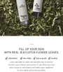 THE PURE LOTUS Lotus Leaf & Aloe Calming Serum 2pcs Bundle Set